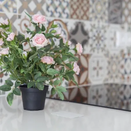 Apartment Estudio Playa Del Postiguet Alicante